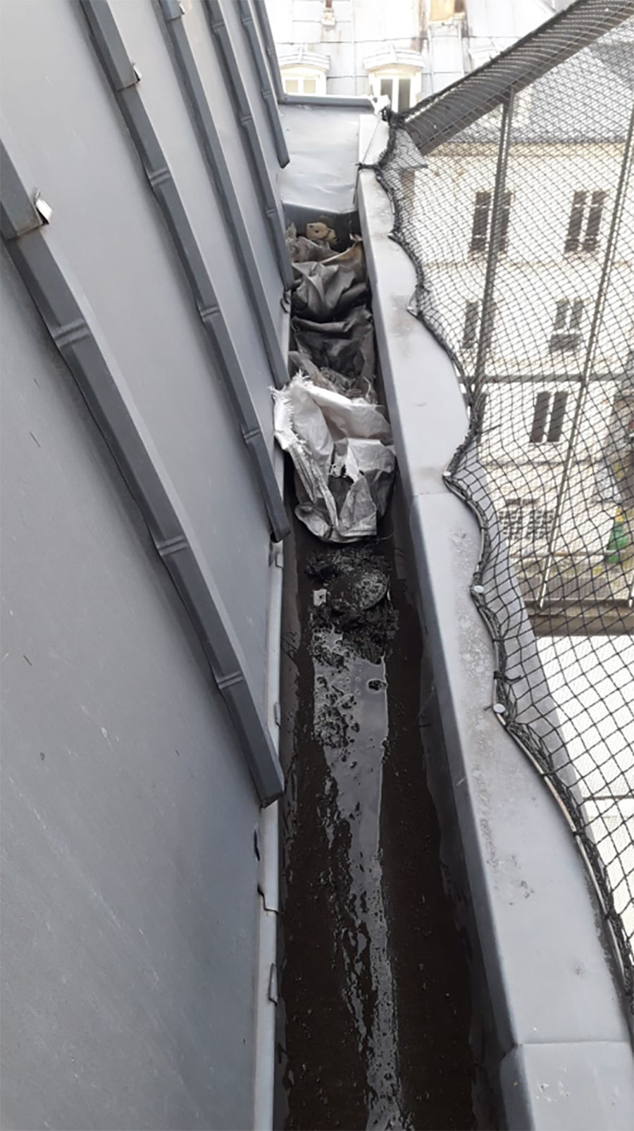 Nettoyage de gouttières